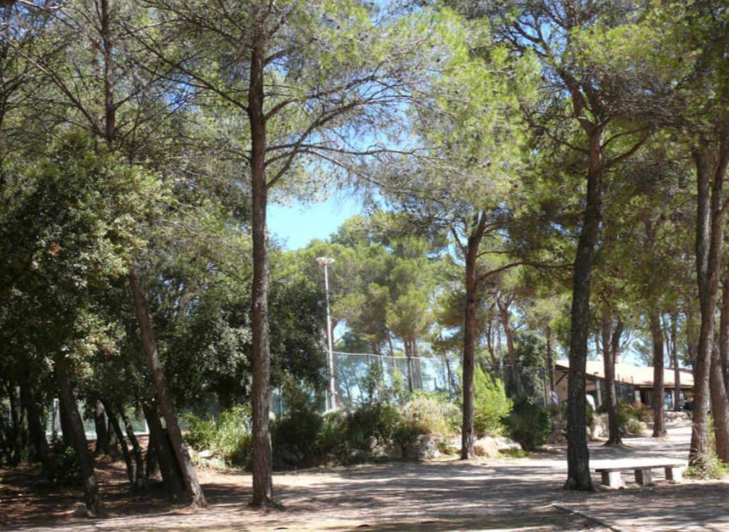 Appartement entier, One-Bedroom Apartment in Grabels, Côte méditerranéenne (France)