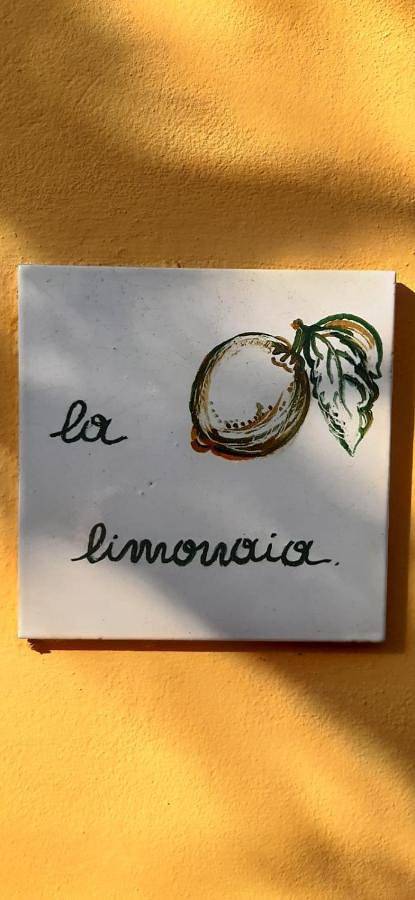 La limonaia in Gavinana Galluzzo, Florence