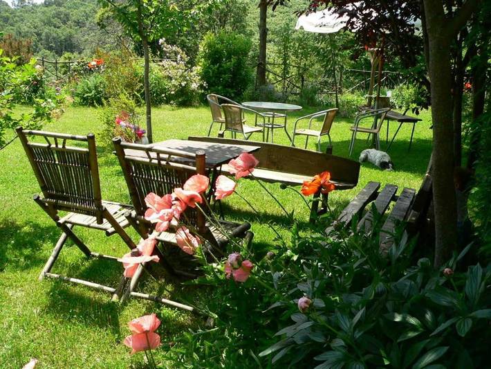 Casa rural para 12 personas, con jardín y vistas, Familias con niños en Sanabria (Zamora) - 3