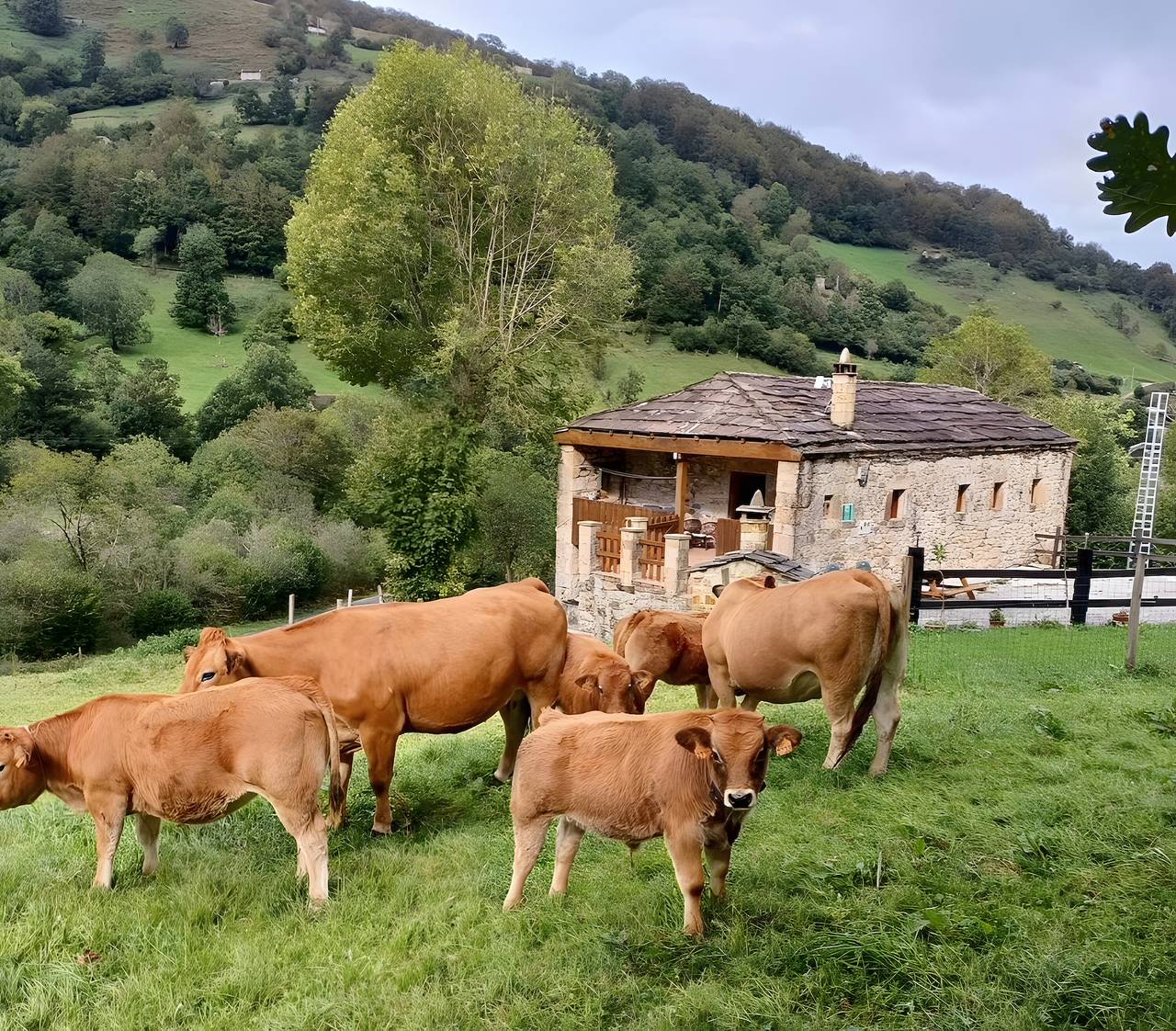Finca 'Lo Miñarro' mit Bergblick, privater Terrasse und Wi-Fi in Soba, Cordillera Cantábrica