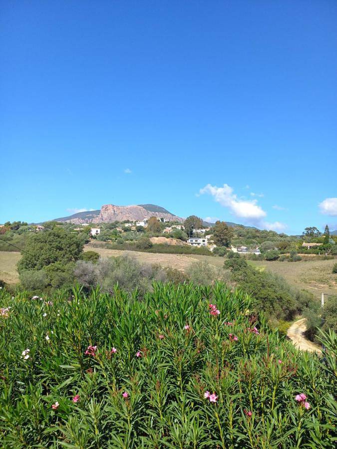 Gîte pour 3 personnes, avec balcon et vue, adapté aux familles à Sarrola-Carcopino - 2