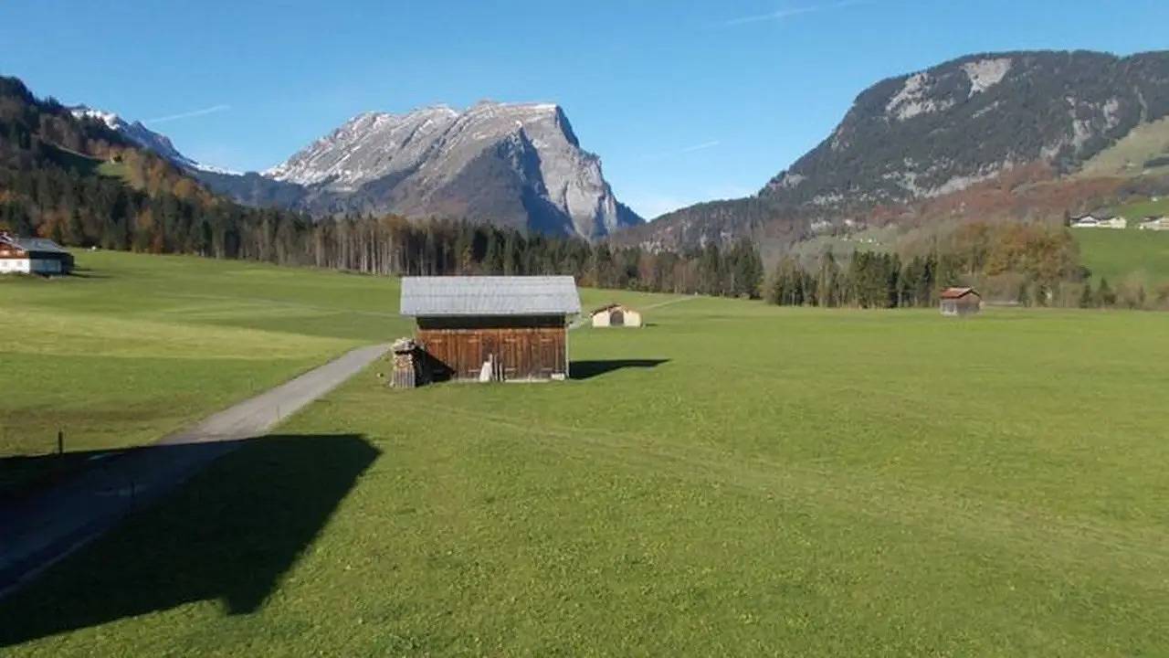 Ganze Ferienwohnung, Ferienwohnung für 6 Personen (55 m²) in Schoppernau in Schoppernau, Bregenzerwald