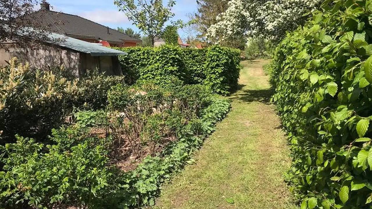 Ganze Ferienwohnung, Ferienwohnung für 5 Personen (70 m²) in Mellenthin in Morgenitz, Mellenthin