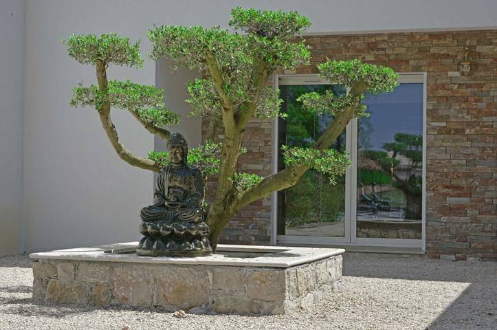 Location de vacances pour 6 personnes, avec terrasse et jardin à Montauroux - 2