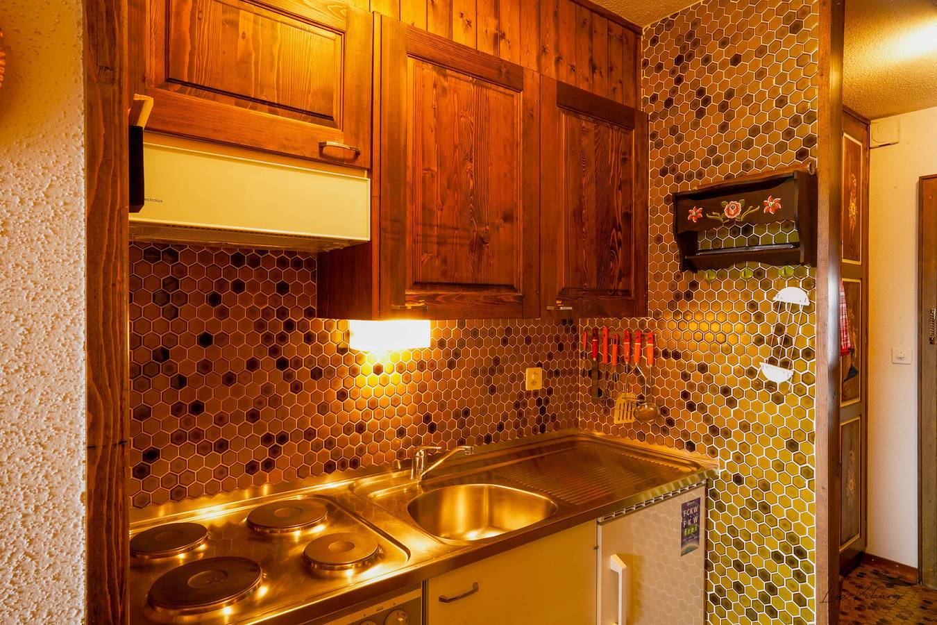 Geheel appartement, Hameau A04 - Appartement 1.0 room(s) in Les Masses, Vex