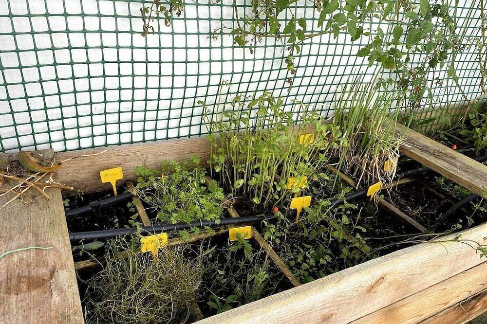 Apartamento entero, Aligus 1 | Uma horta na Horta in Horta, Faial