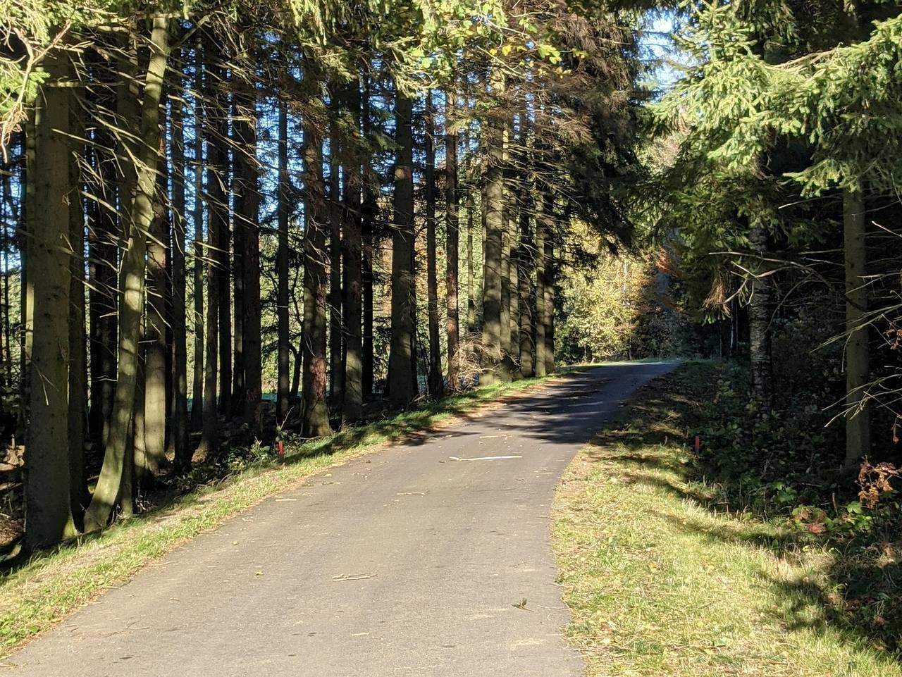 Ganze Ferienwohnung, Ferienwohnungen Schönherr - Ferienwohnung Wally in Schlettau, Erzgebirge