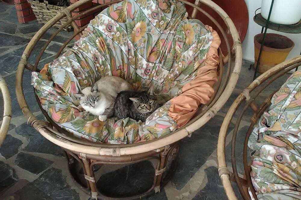 Alquiler de habitaciones / Piso Compartido in Redondo, Distrito de Évora