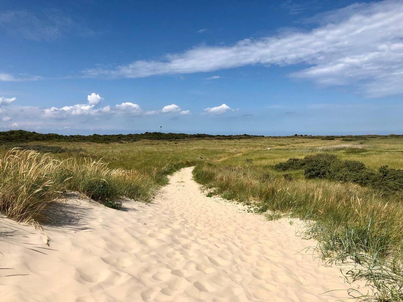 Wohlfühlurlaub im Nestchen!, foto 8