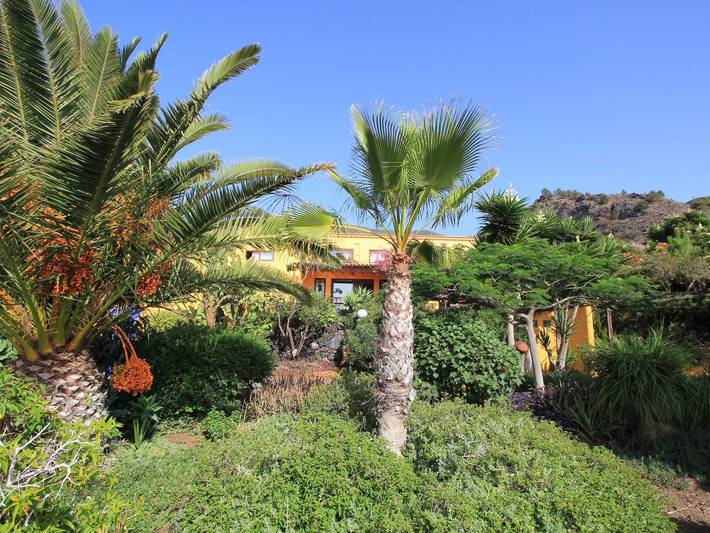Ferienhaus für 3 Personen, mit Terrasse und Garten auf La Palma - 4