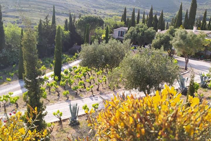 Gîte au Milieu des Vignes in Tuchan, Mediterranean Coast (France)