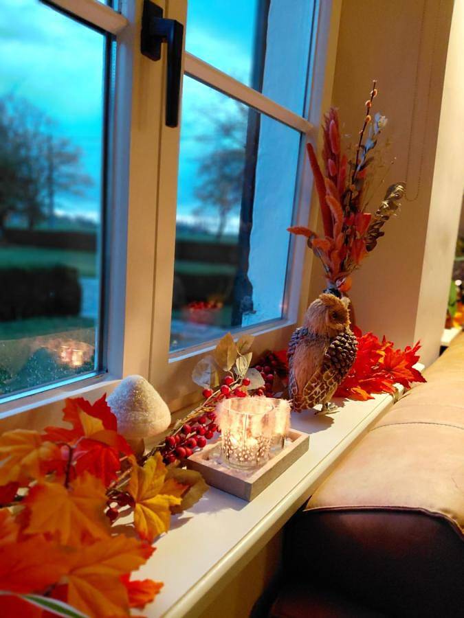 Location de vacances pour 2 personnes, avec vue ainsi que terrasse et jardin à Beernem - 3