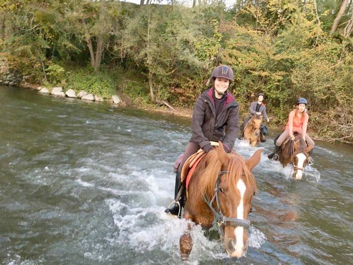 Chambre d’hôte pour 4 personnes, avec vue et jardin dans Parc naturel régional des Pyrénées ariégeoises - 4