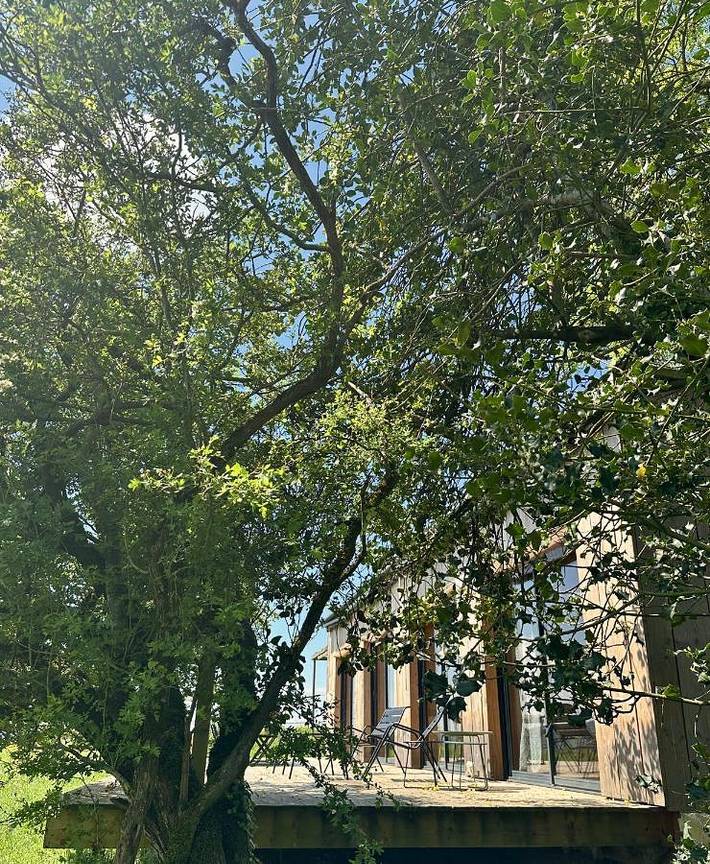 Location de vacances pour 8 personnes, avec Terrasse et Jardin ainsi que Piscine et Vue sur le lac à Teillet - 2