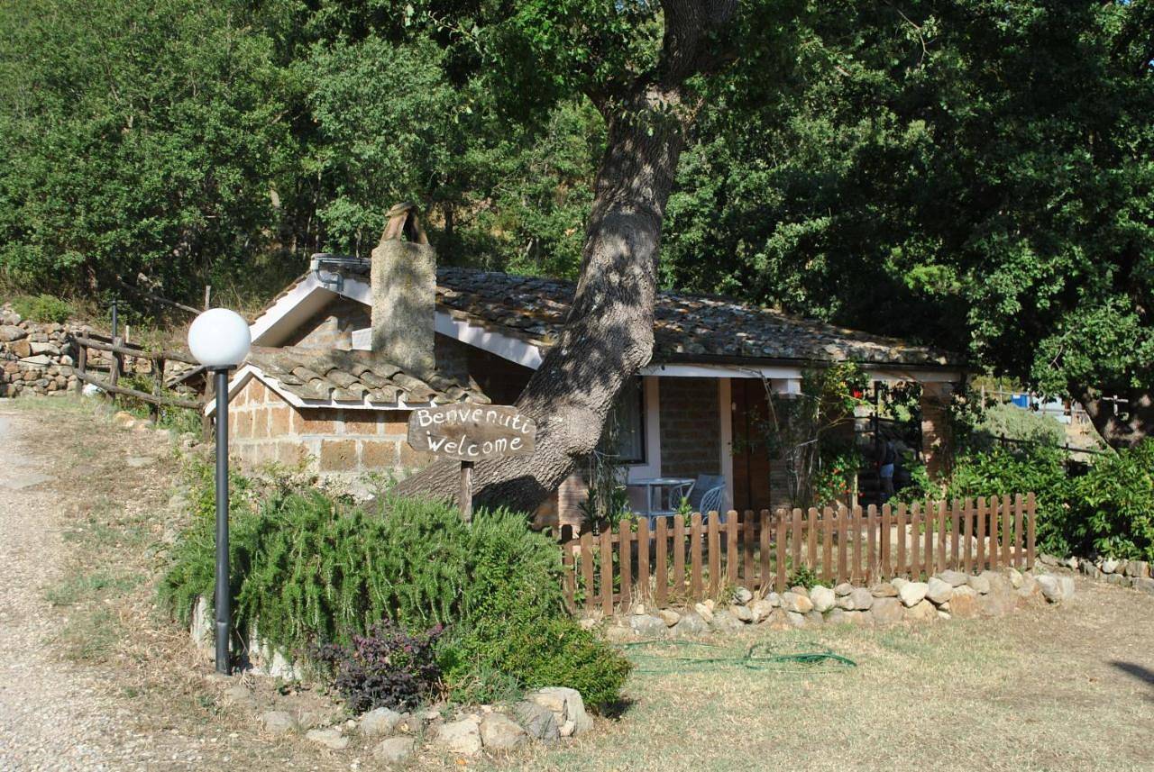 Chalet in Tolfa, Provincia di Viterbo