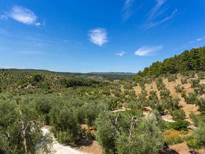 Appartamento intero, Villa Tavaglione in Peschici e dintorni, Gargano