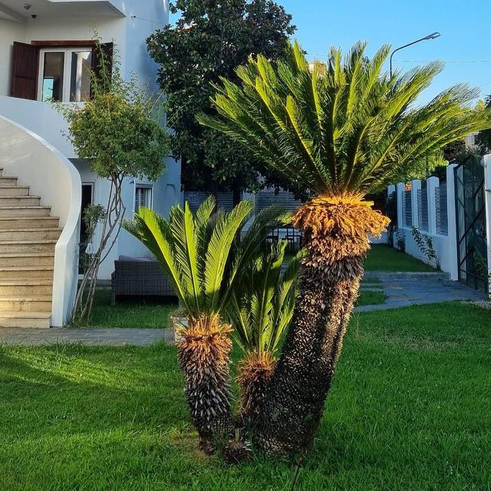 Bed and breakfast per 2 persone, con giardino e terrazza nonché panorama - 1