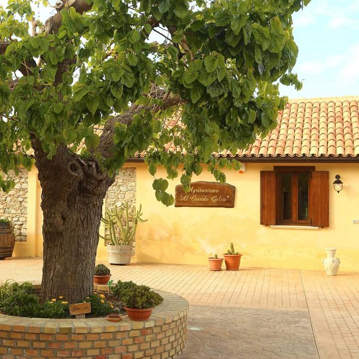 Chambre d’amis pour 6 personnes, avec jardin, animaux acceptés à Cariati - 4
