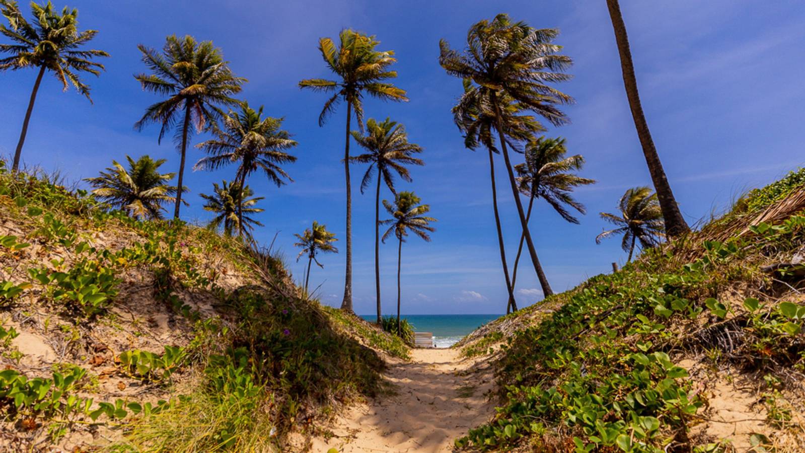 Casa com Hidro, Piscina e Churrasqueira - Jacuípe in Camaçari, Linha Verde