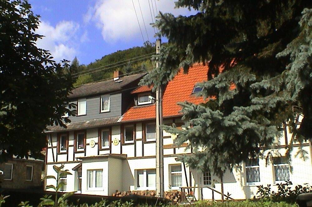 Ganze Wohnung, Fewo 3 mit Wellnessoase im Luftkurort Altenbrak Harz im Fachwerkhaus -Wlan in Altenbrak, Thale