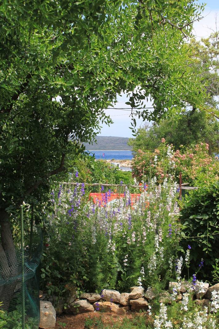 Ganze Wohnung, 1-Zimmer-Ferienwohnung mit Klima Nerezine, Losinj -a in Nerezine, Lošinj (Kvarner Bucht)