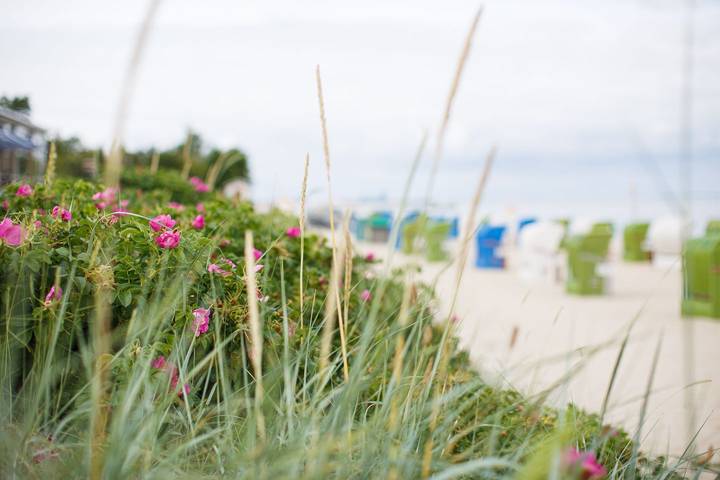 Ferienwohnung für 2 Personen, mit Terrasse und Garten auf Föhr