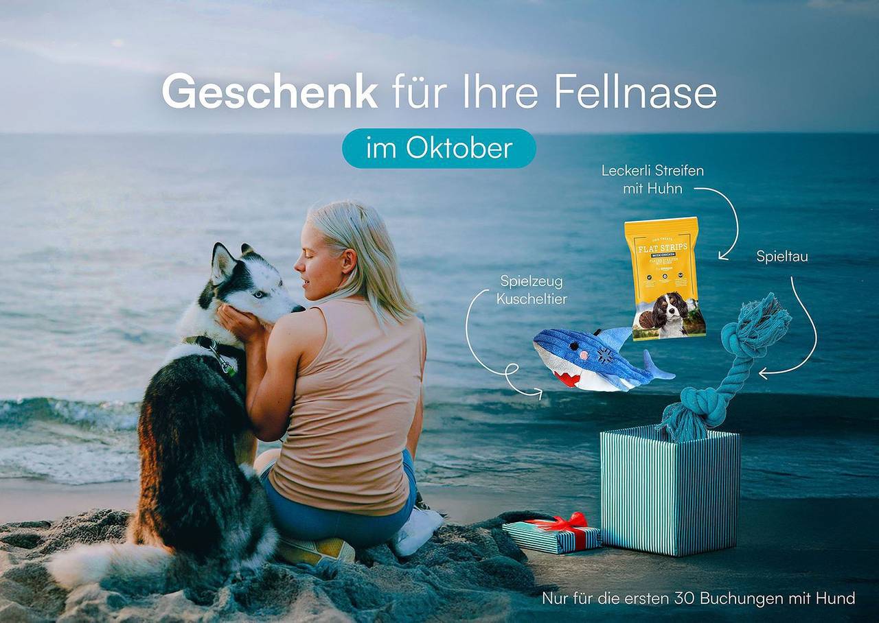 Ganze Wohnung, "Hafenspitze": Erdgeschosswohnung mit Ostseeblick, Terrasse & Wellnessbereich in Olpenitz, Kappeln