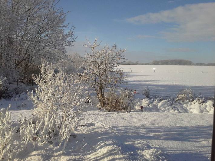 Ferienwohnung für 4 Personen, mit Ausblick und Garten sowie Terrasse, kinderfreundlich in Rabenkirchen-Faulück - 2