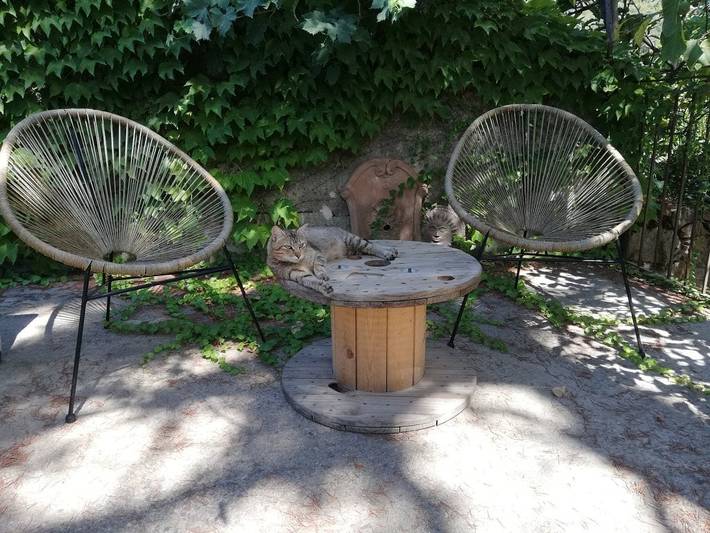 B&B für 2 Personen, mit Haustier auf Sardinien - 4