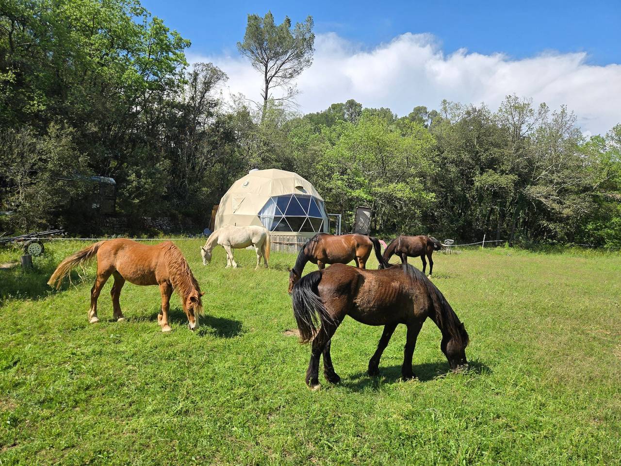 Studio entier, Maison d'hôtes 'La Cabane Aux Chevaux' avec jardin privé in Varages, Région de Brignoles
