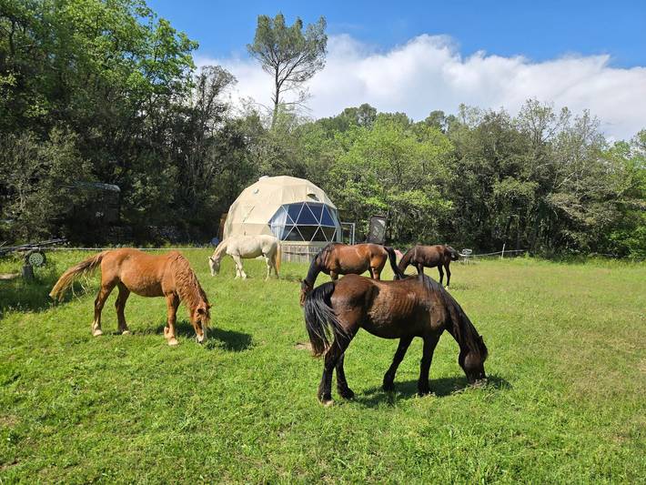 Monolocale intero, Maison d'hôtes 'La Cabane Aux Chevaux' con giardino privato in Varages, Brignoles e dintorni