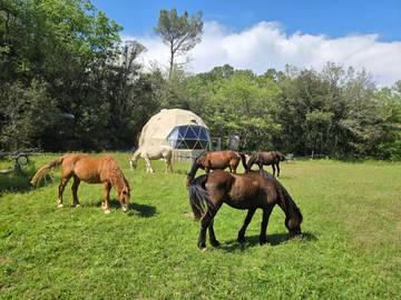 Gîte pour 3 Personnes dans Varages, Région de Brignoles, Photo 2