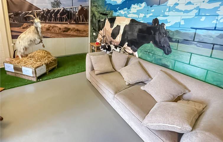 Ferienhaus für 5 Personen, mit Garten und Terrasse in den Niederlande - 2