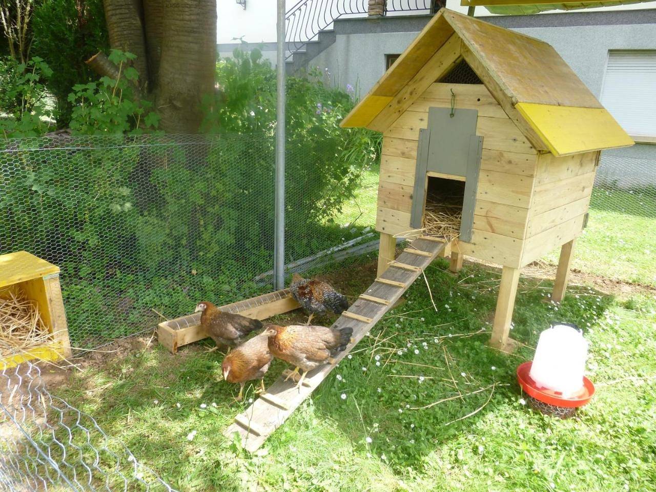Appartement entier, One-Bedroom Apartment in Lingolsheim, Région de Strasbourg