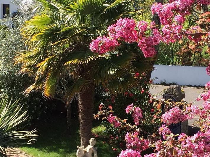 Gîte pour 3 personnes, avec jardin à Baden (France) - 4