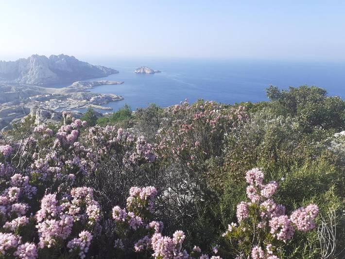 Location de vacances pour 8 personnes, avec jardin et vue, adapté aux familles dans Les Goudes - 4