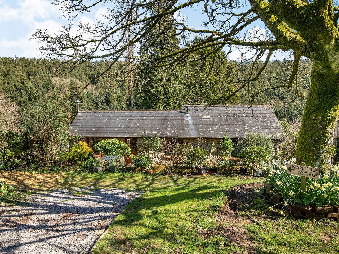 Cottage für 4 Personen mit Garten in Branscombe, Devon