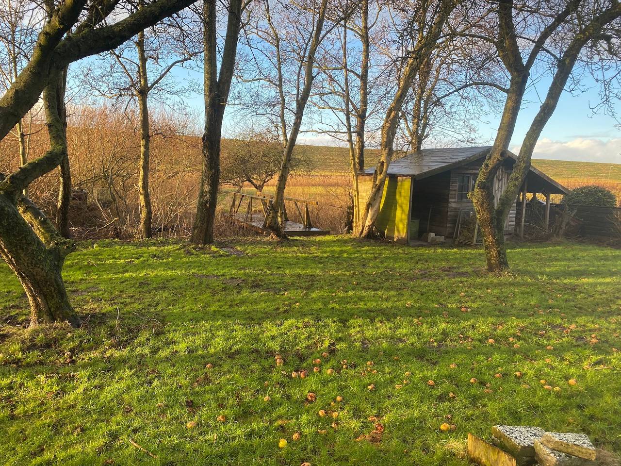 Ferienhaus direkt am Deich in Nordholz, Cuxland