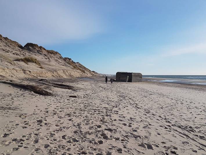 Ferienhaus für 22 Personen, mit Terrasse und Sauna in Vedersø Klit - 4