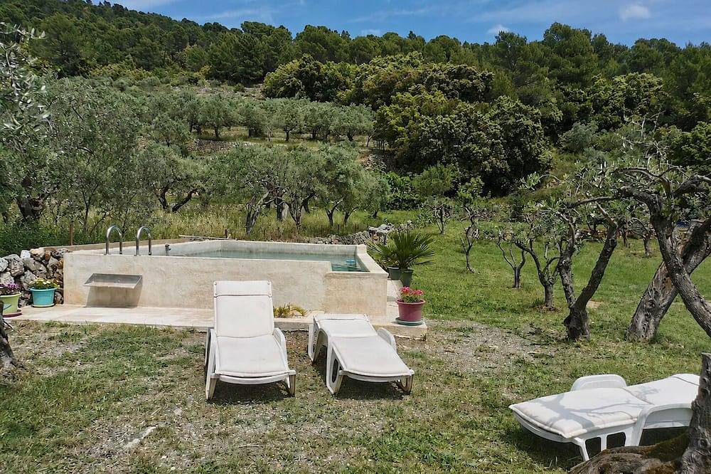Maison dans les oliviers in Claviers, Région de Draguignan