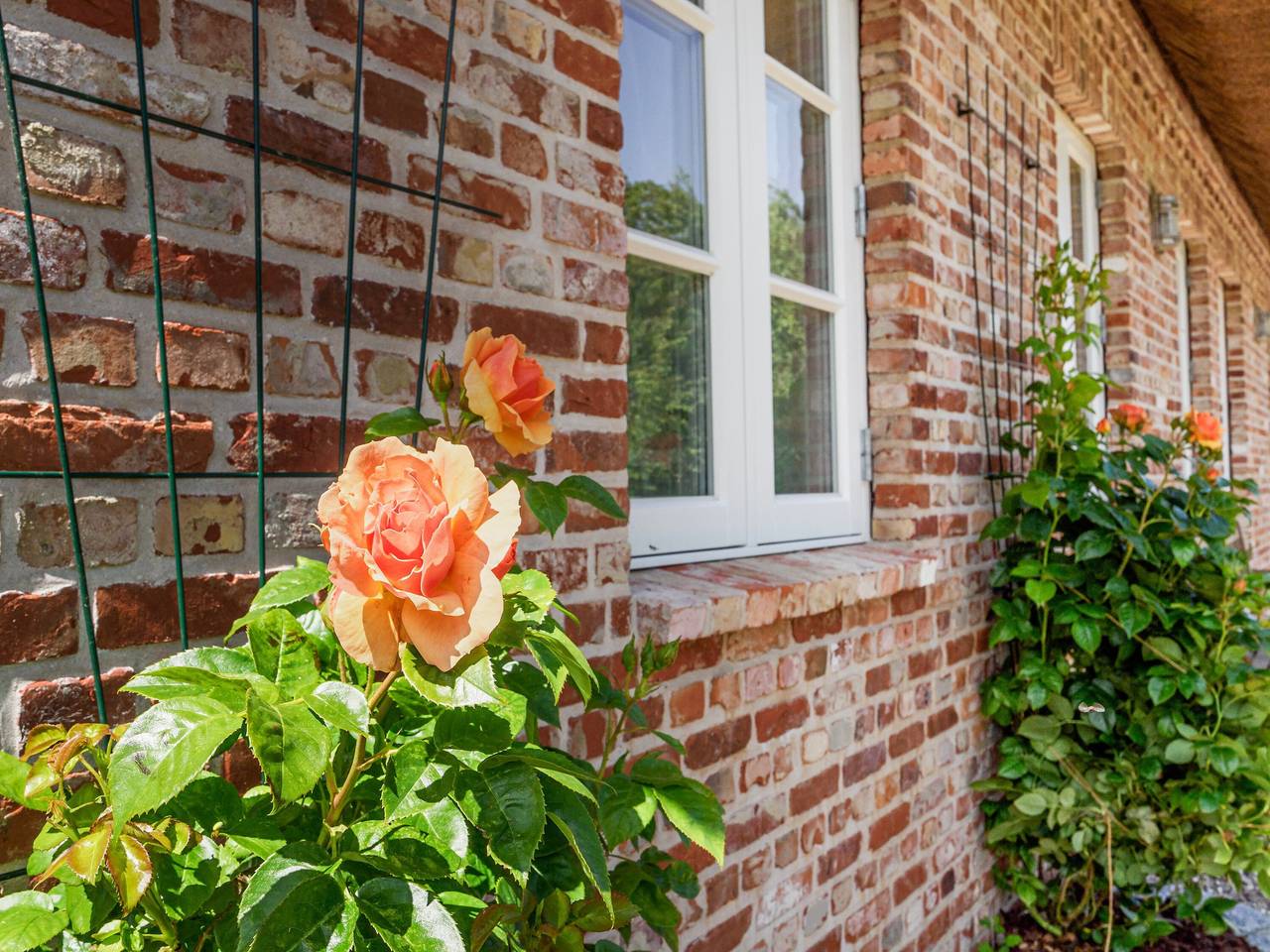 5-Sterne Reetdach-Ferienhaus "Emmas Hus" mit Sauna und Kamin in Tammensiel, Pellworm