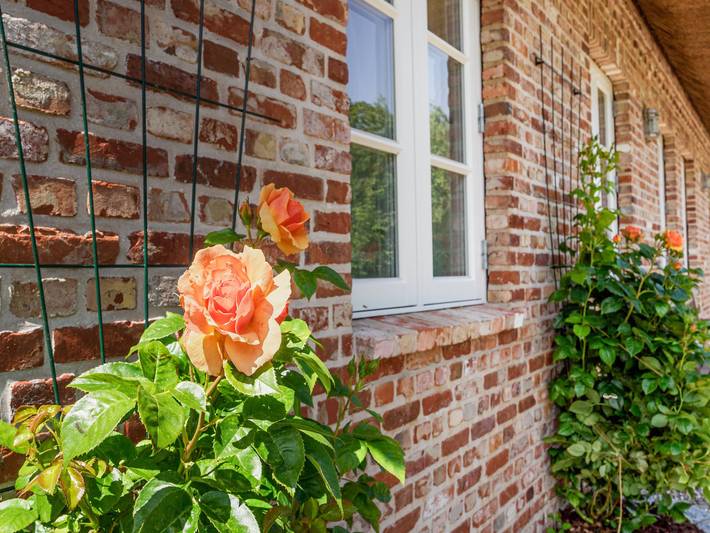 Ferienhaus für 6 Personen, mit Garten und Sauna, mit Haustier auf den Nordfriesische Inseln - 3
