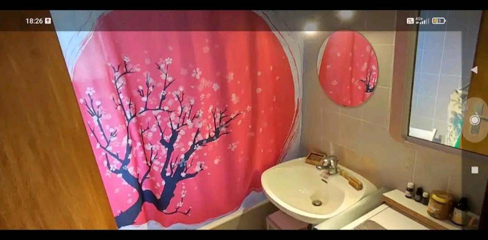 Chambre d’hôte pour 2 personnes, avec terrasse et jardin, animaux acceptés à Strasbourg - 3