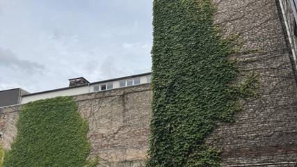Ferienwohnung für 4 Personen in Saarbrücken, Mosel-Saar, Bild 3
