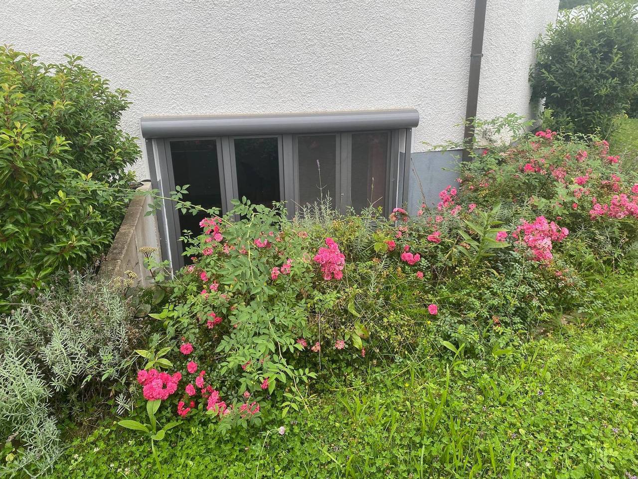 Teamwerk - Doppelzimmer in Leonberg, Nordschwarzwald