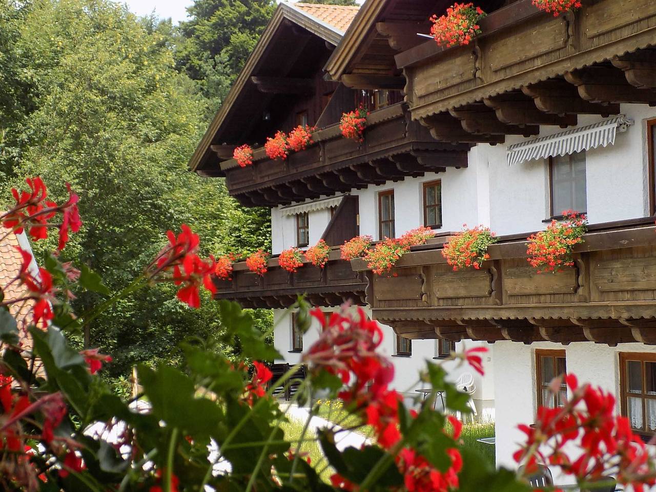 Ferienwohnung Hauzenberg Blick Fewo306 - Fewo Hauzenberg Blick Fewo306 in Hauzenberg, Passauer Land