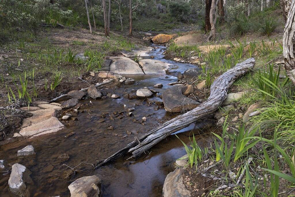 Bush Escape: Panoramic Views + Large Dog Enclosure in Perth, Western Australia