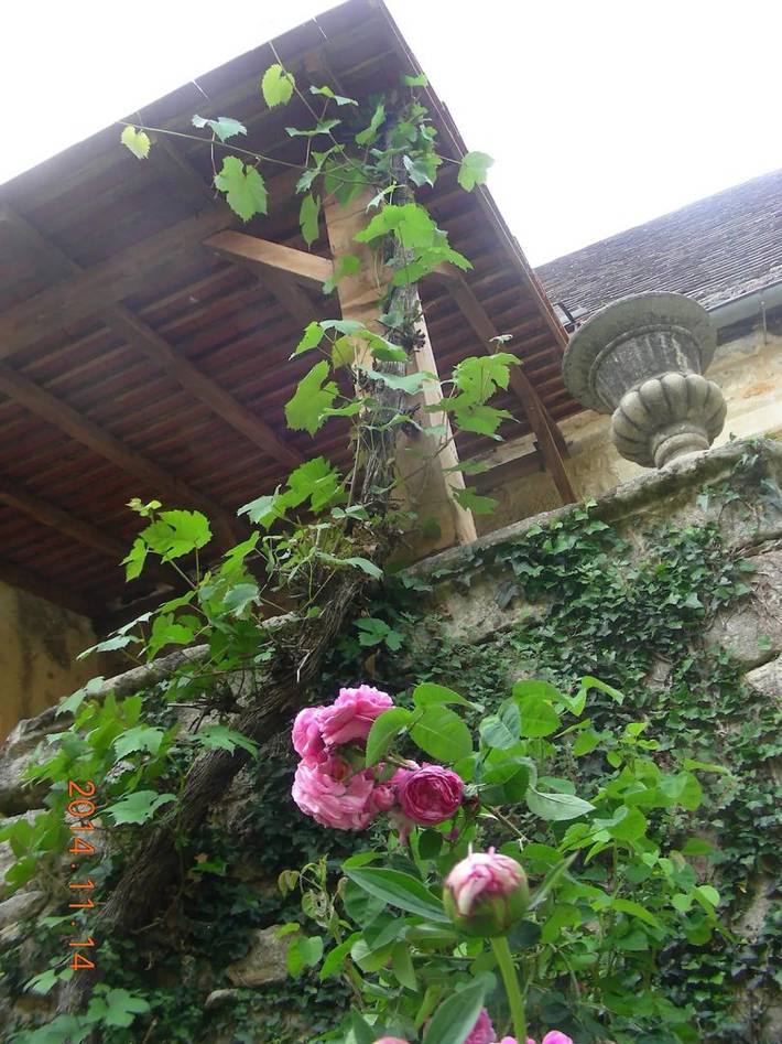 Gîte pour 4 personnes, avec jardin à Cénac-et-Saint-Julien - 3