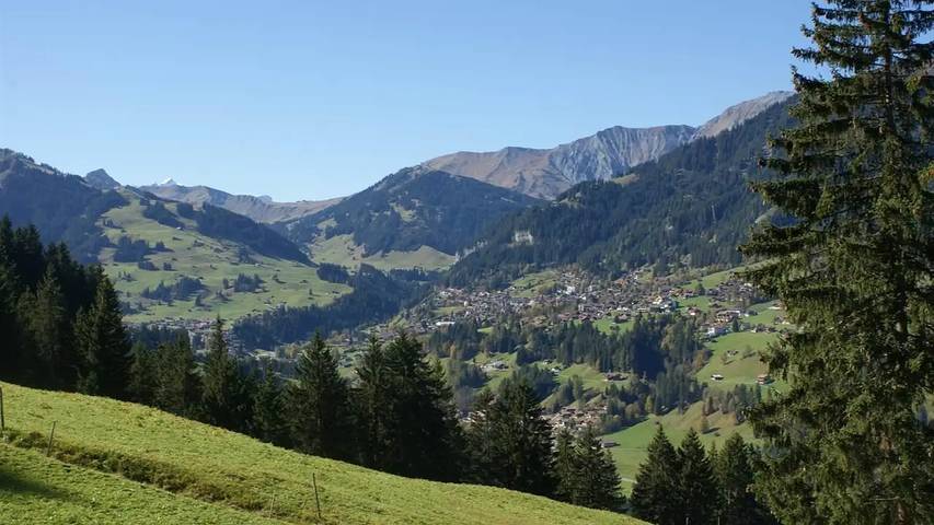Ferienhaus für 8 Personen, mit Terrasse, mit Haustier in der Schweiz - 3