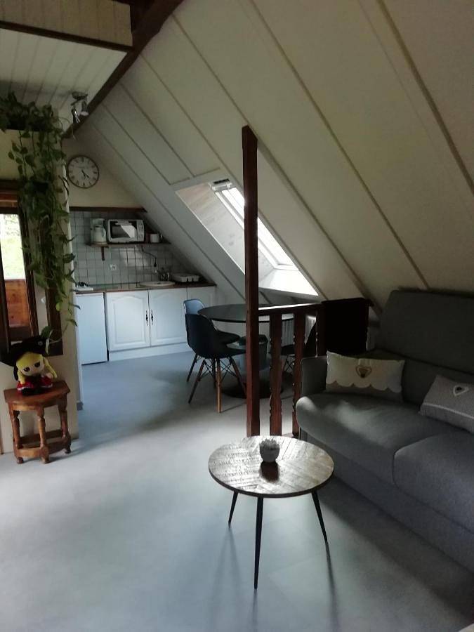 Appartement entier, Small Studio in Labaroche, Parc naturel régional des Ballons des Vosges